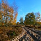 Ehemaliges Panzergelände Wahner-Heide