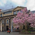 Ehemaliges Rheinmuseum in Koblenz