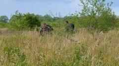 Ehemaliges Rollfeld der Halbinsel Wustrow