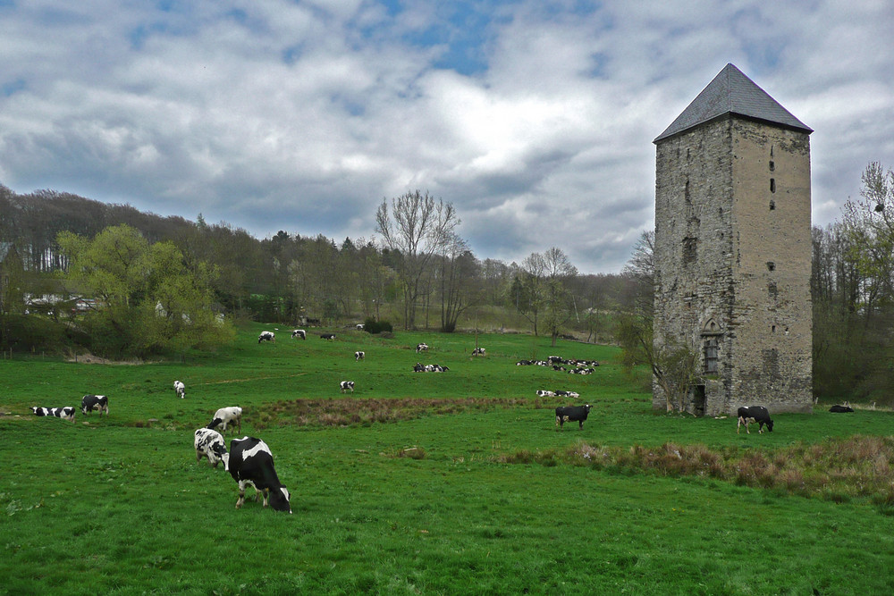 Ehem.Wasserburg Mühlenbach