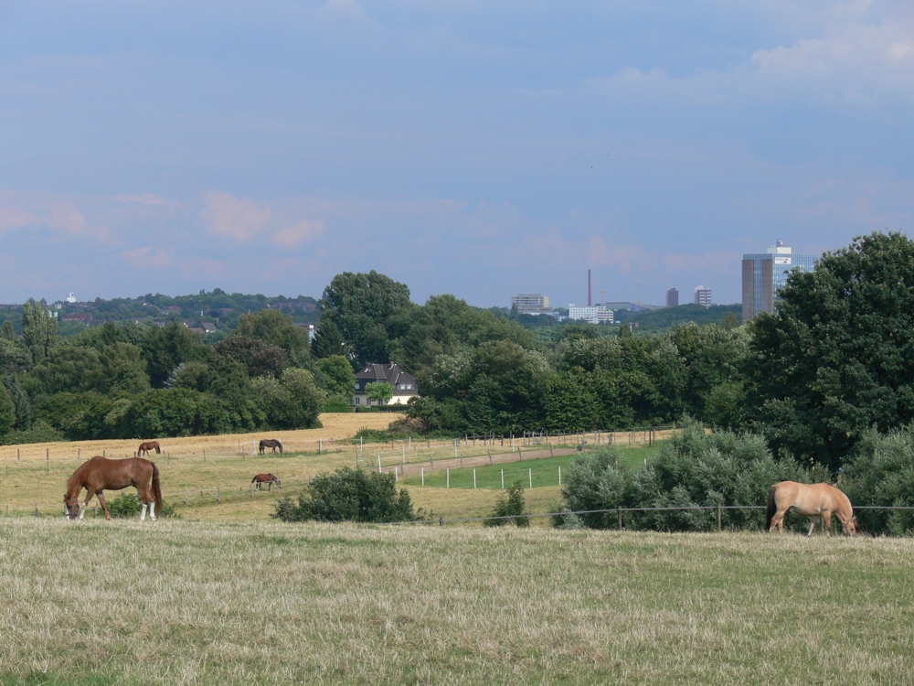 Eher Provinz als Ballungsraum, oder?