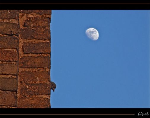 "Ehi .... hai visto anche tu?"