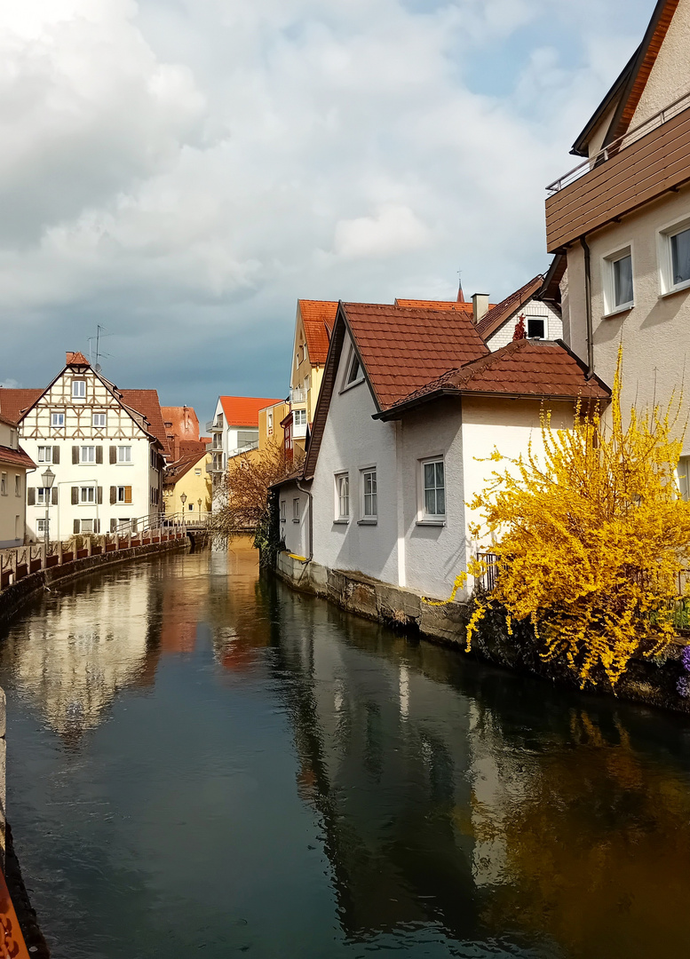 Ehingen /Donau