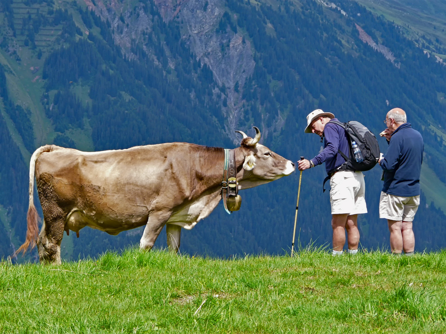 Eh,Leute,wo ist mein Frühstück?