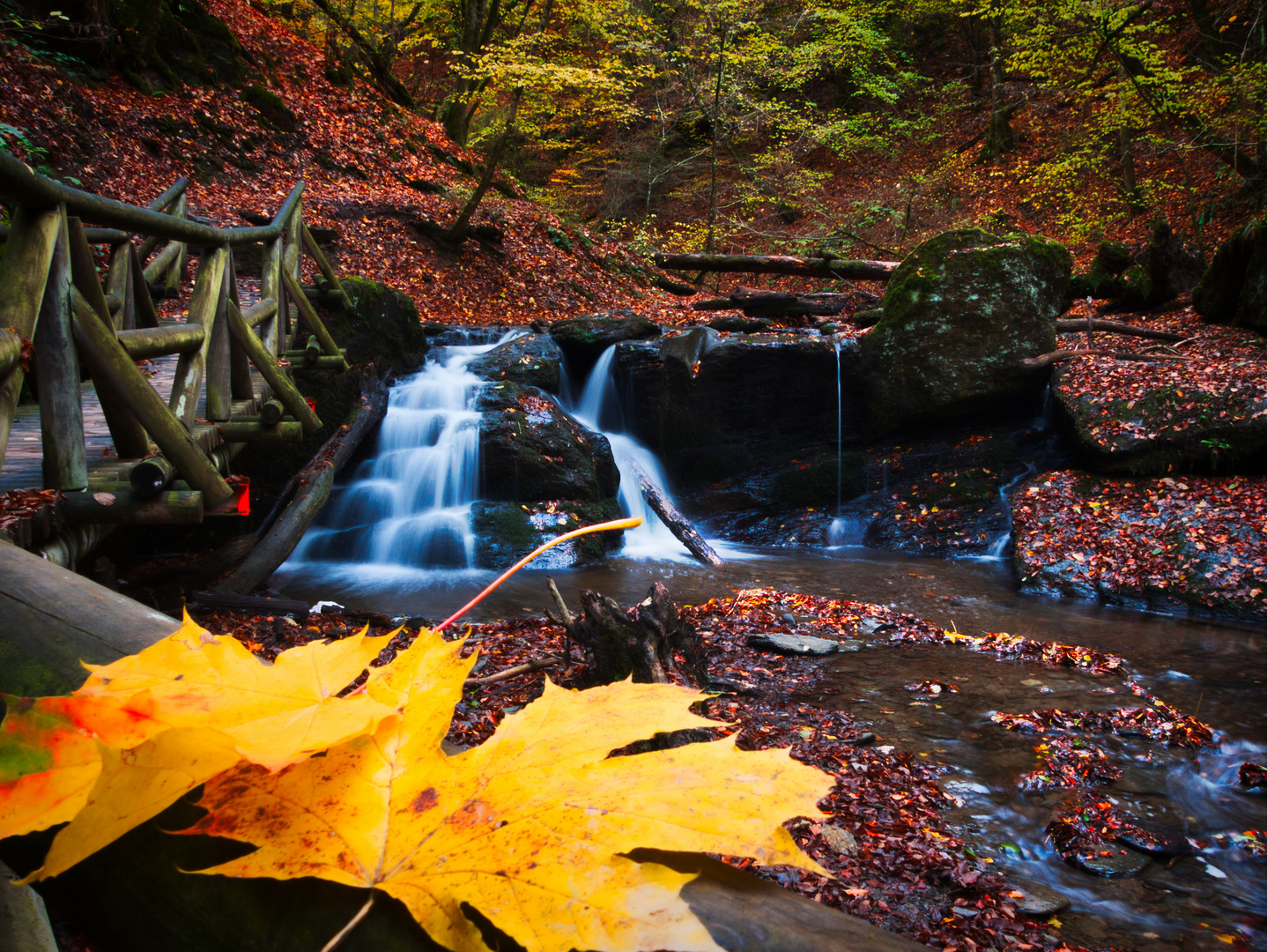 Ehrbachklamm