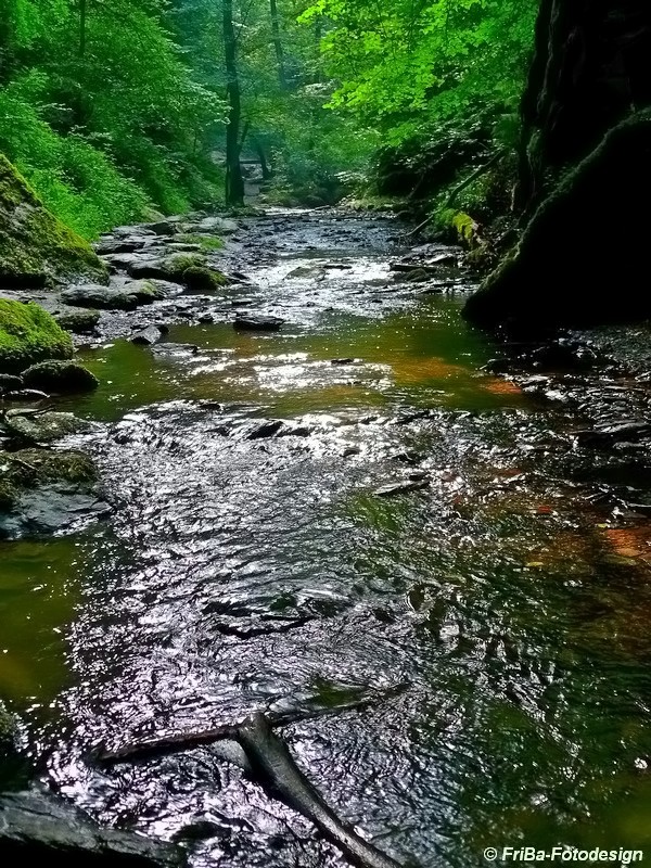 Ehrbachklamm