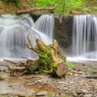 Ehrbachklamm