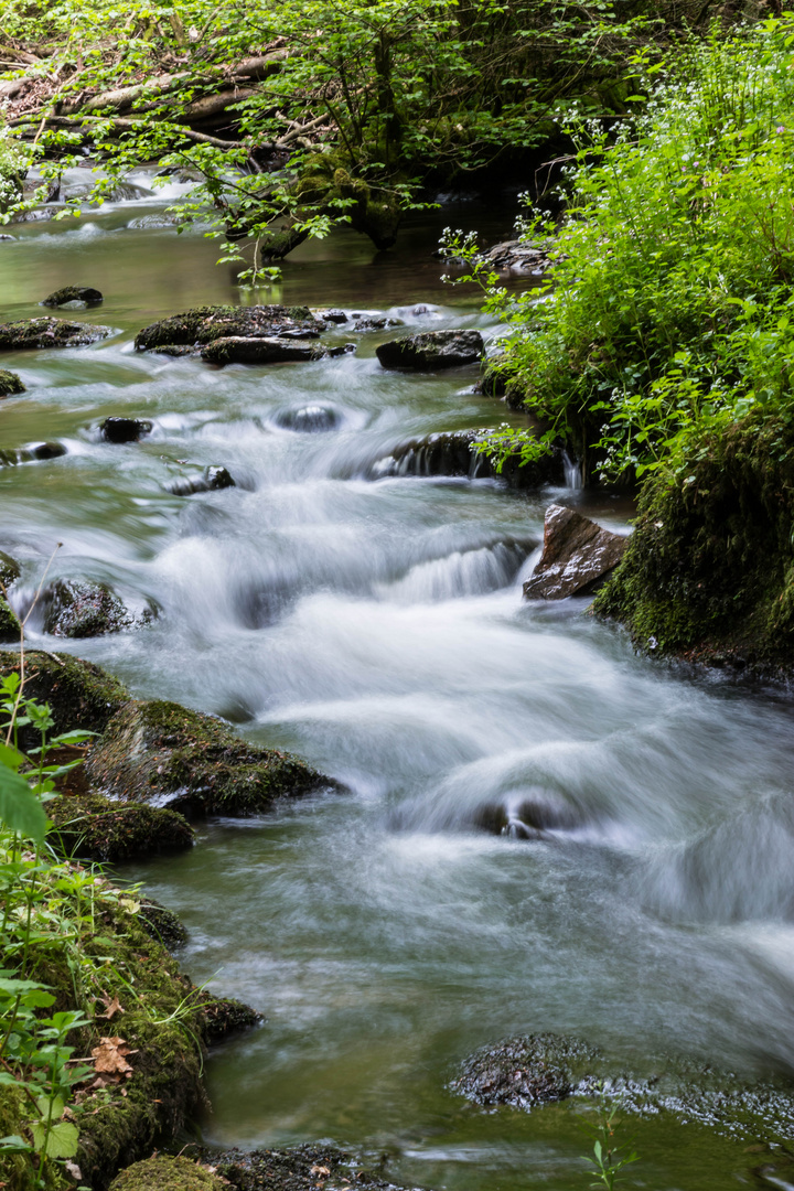 Ehrbachklamm