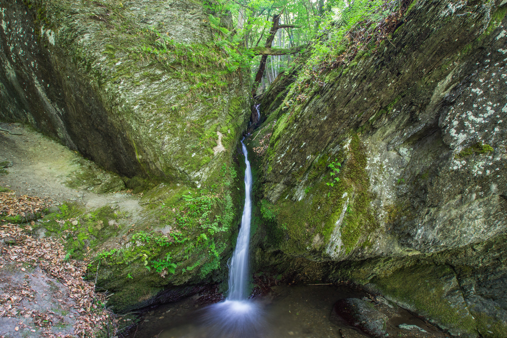 Ehrbachklamm I