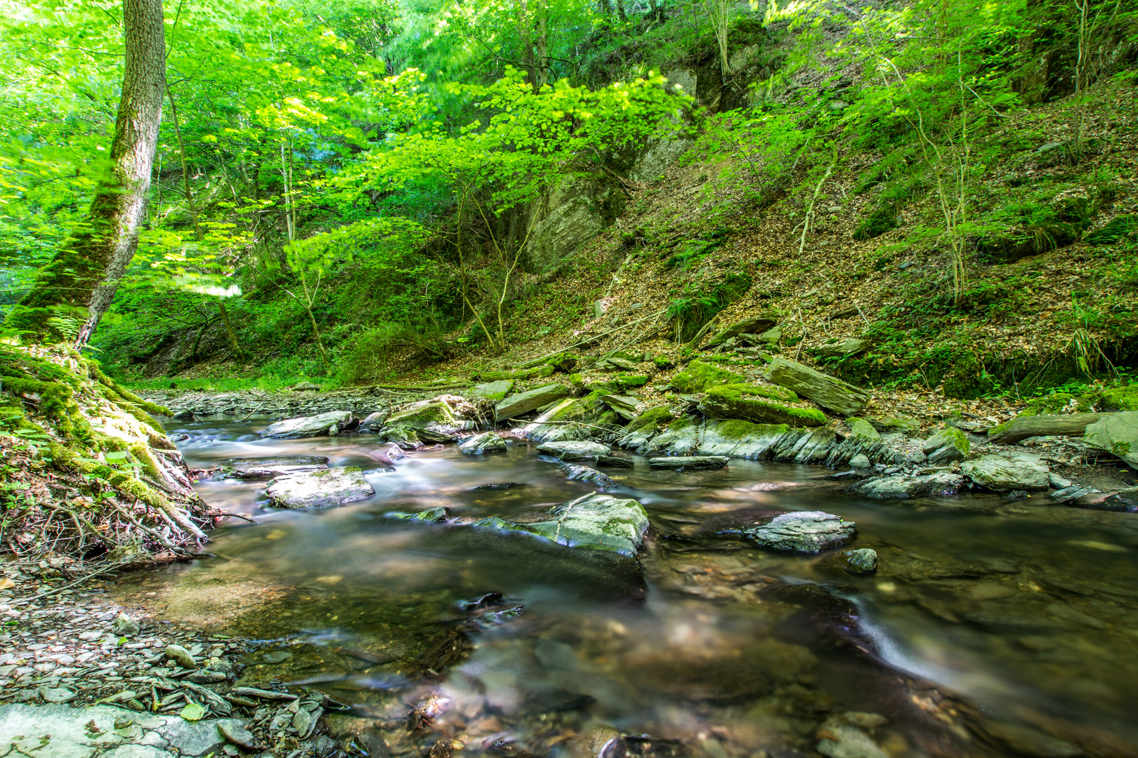 Ehrbachklamm II