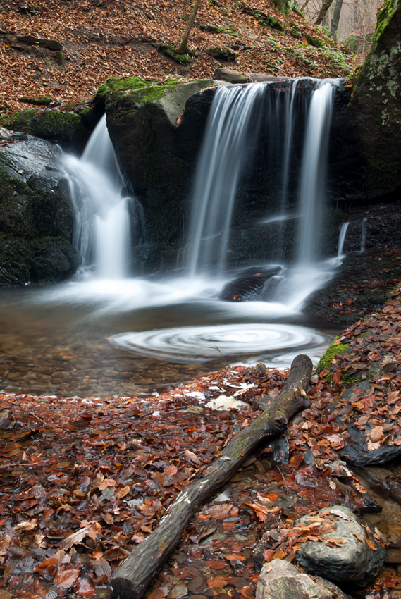 Ehrbachklamm II