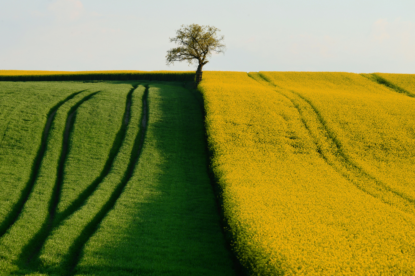 Ehrehrbietung in der Natur