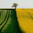 Ehrehrbietung in der Natur