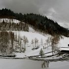 - Ehrenbächle im Schnee