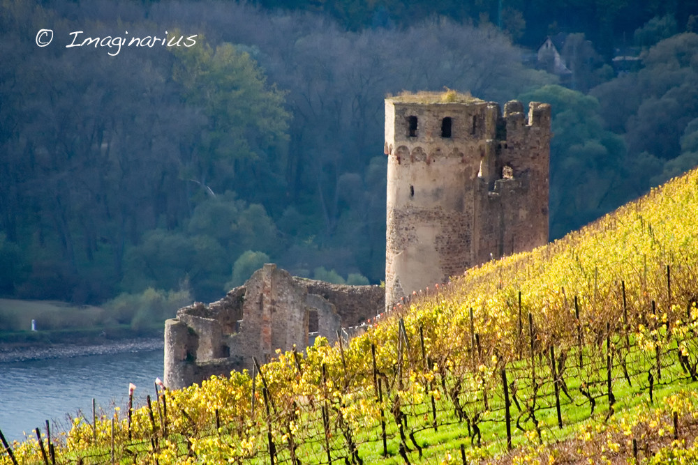 Ehrenfels Castle - Rheingau, Germany