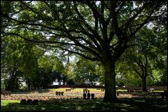 Ehrenfriedhof