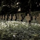 Ehrenfriedhof Heidelberg