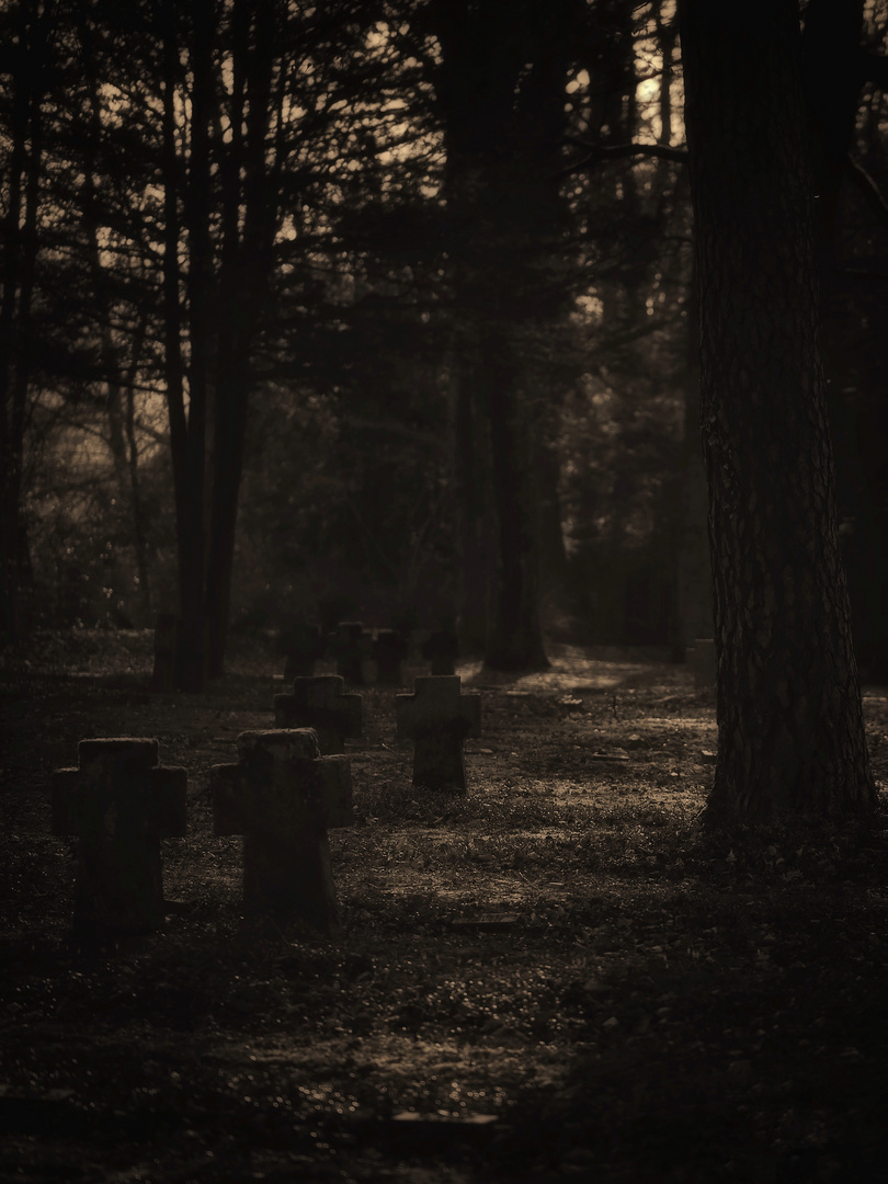 Ehrenfriedhof Heidelberg 