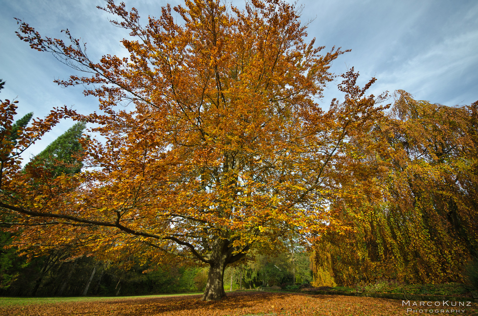 Ehrenfriedhof Heilbronn