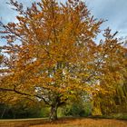 Ehrenfriedhof Heilbronn