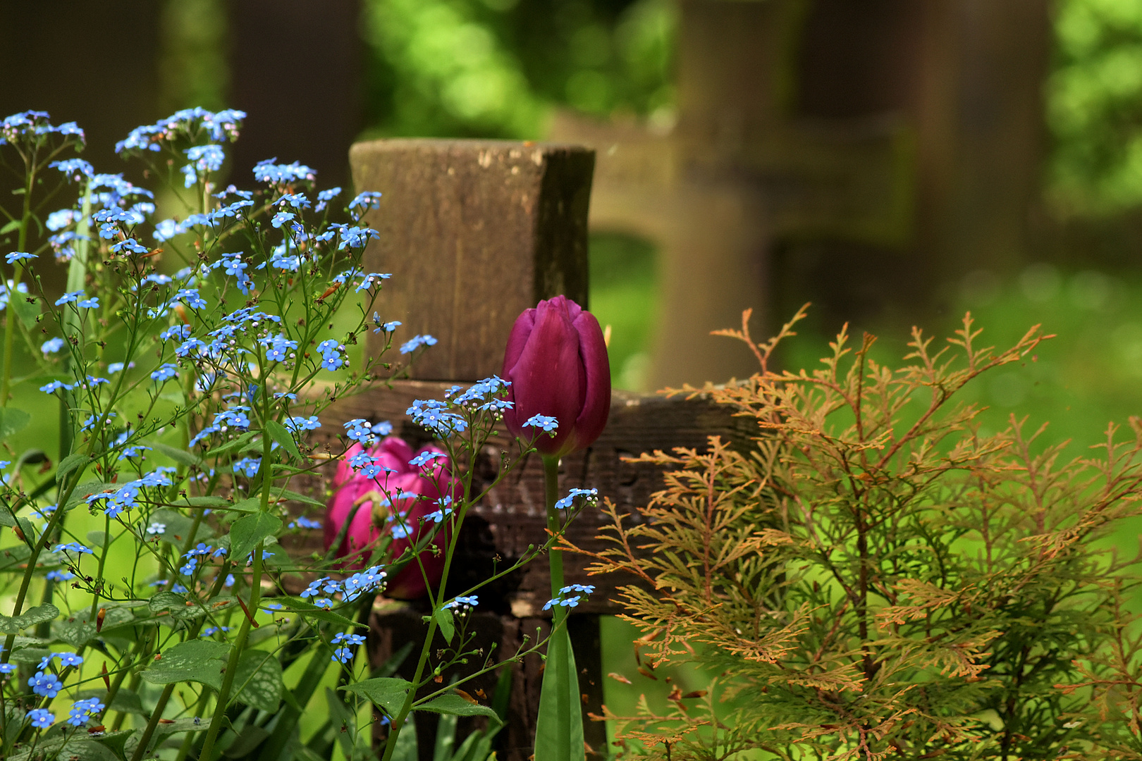 Ehrenfriedhof (Lübeck)