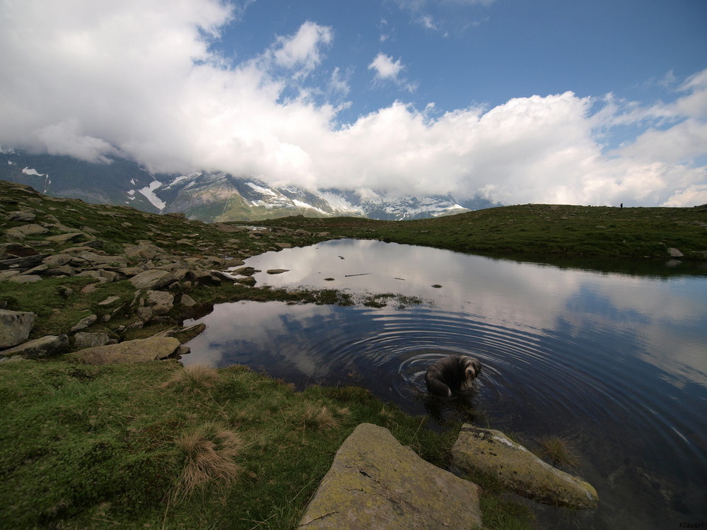 Ehrensee, Südtirol