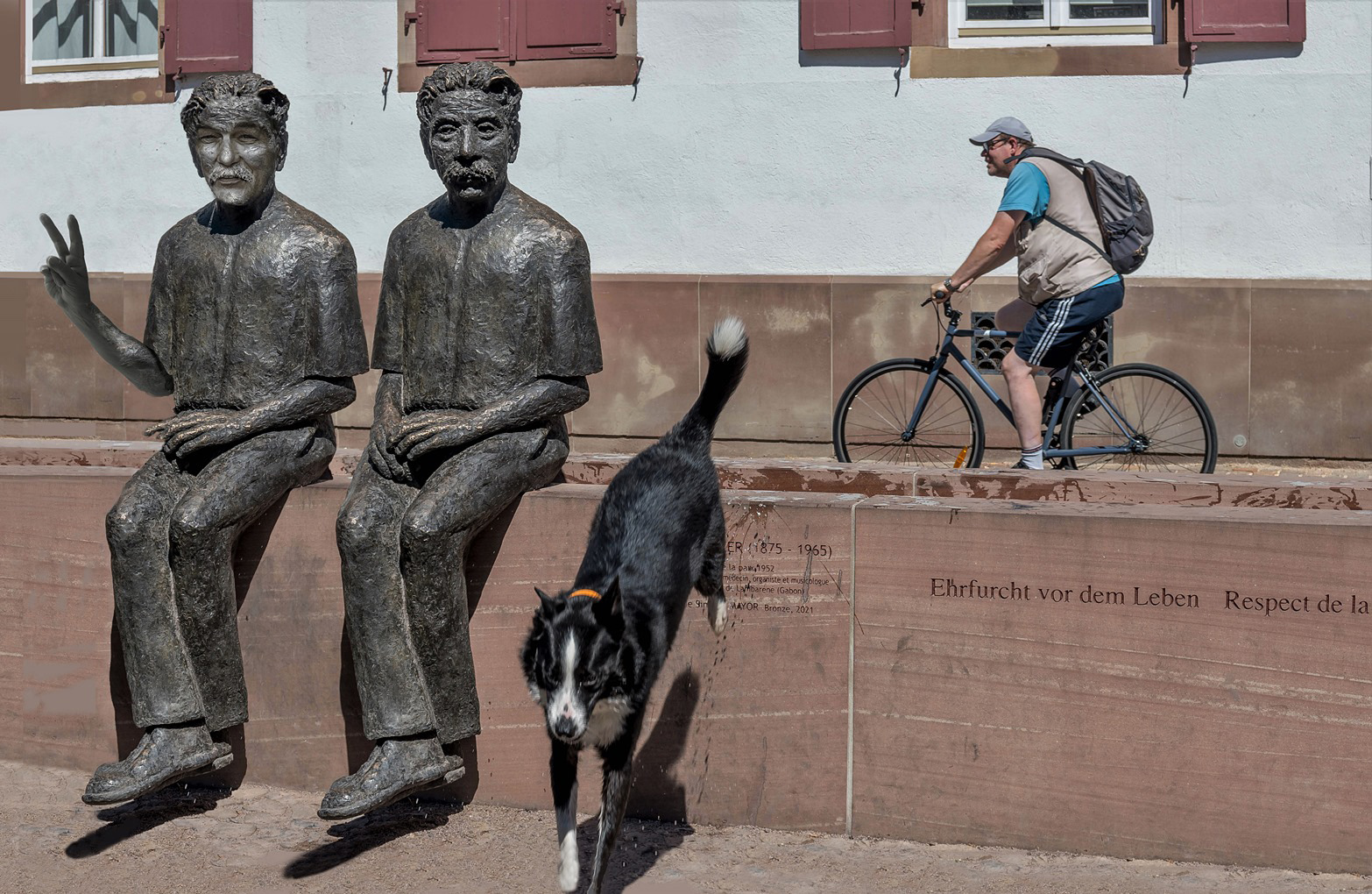 Ehrfurcht vor dem Leben