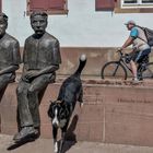 Ehrfurcht vor dem Leben