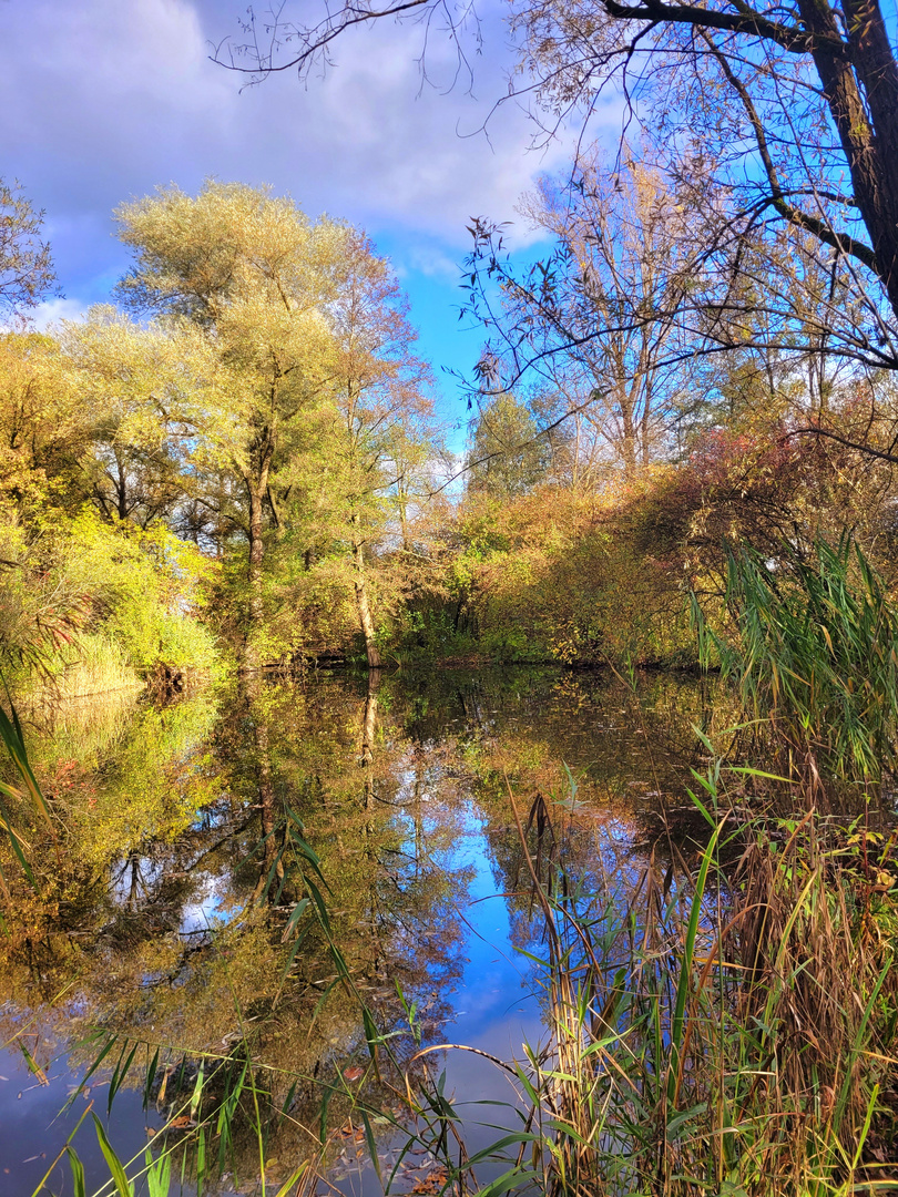 Ehringer Weiher