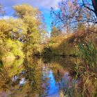 Ehringer Weiher