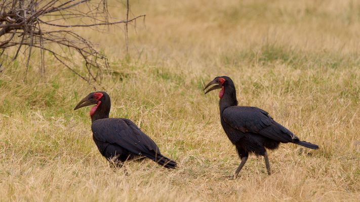 Ehrlich, da war nichts mit der Anderen!