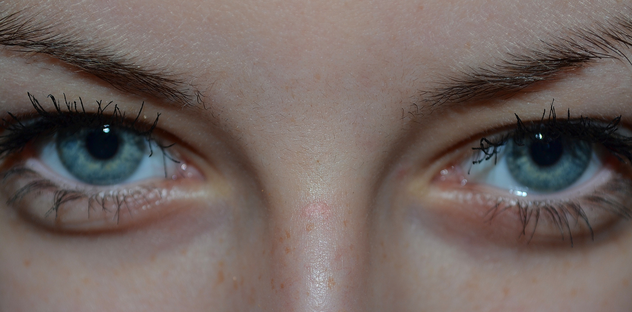 ehrliche Augen Foto Bild fotos von teilen des gesichts ehrliche Augen Foto Bild fotos von teilen des gesichts