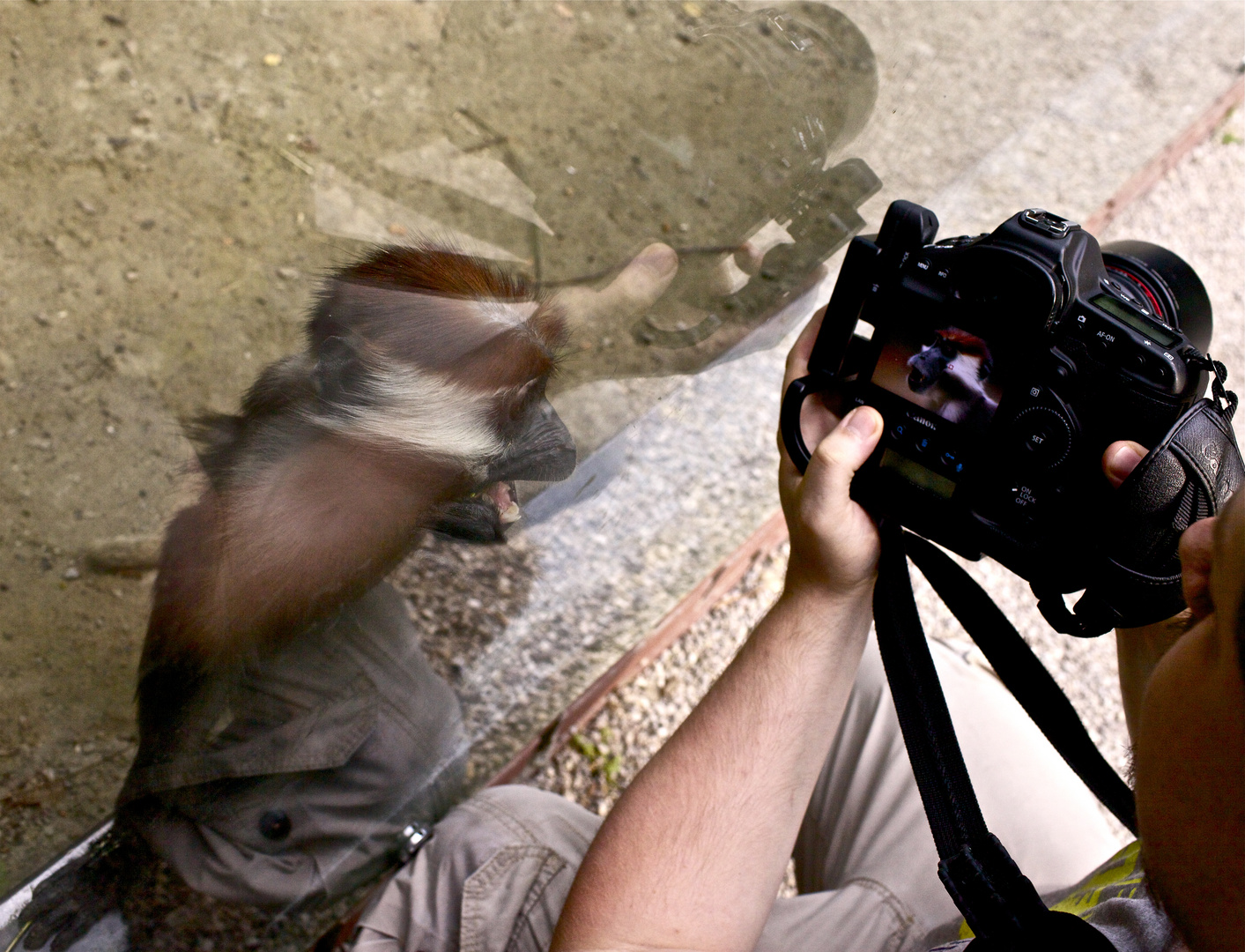 ehrlichstes Feedback seit es Fotografie gibt!