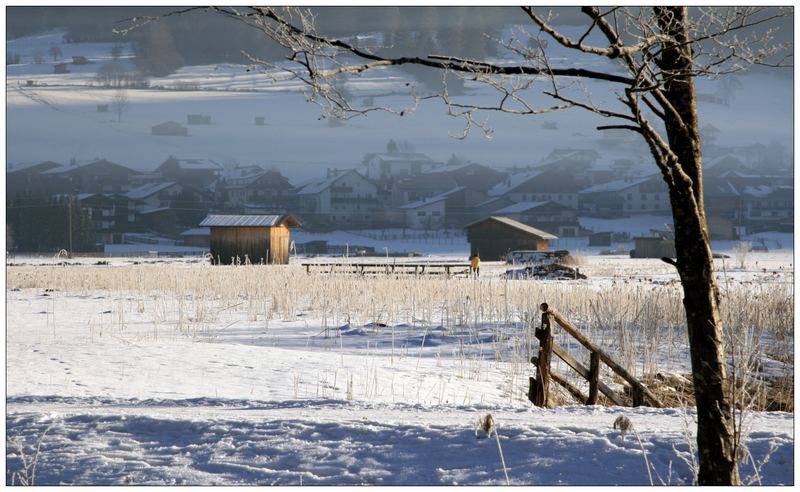 Ehrwald-Winterlandschaft