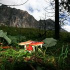 Ehrwalderalm-Tirol-Zugspitzarena