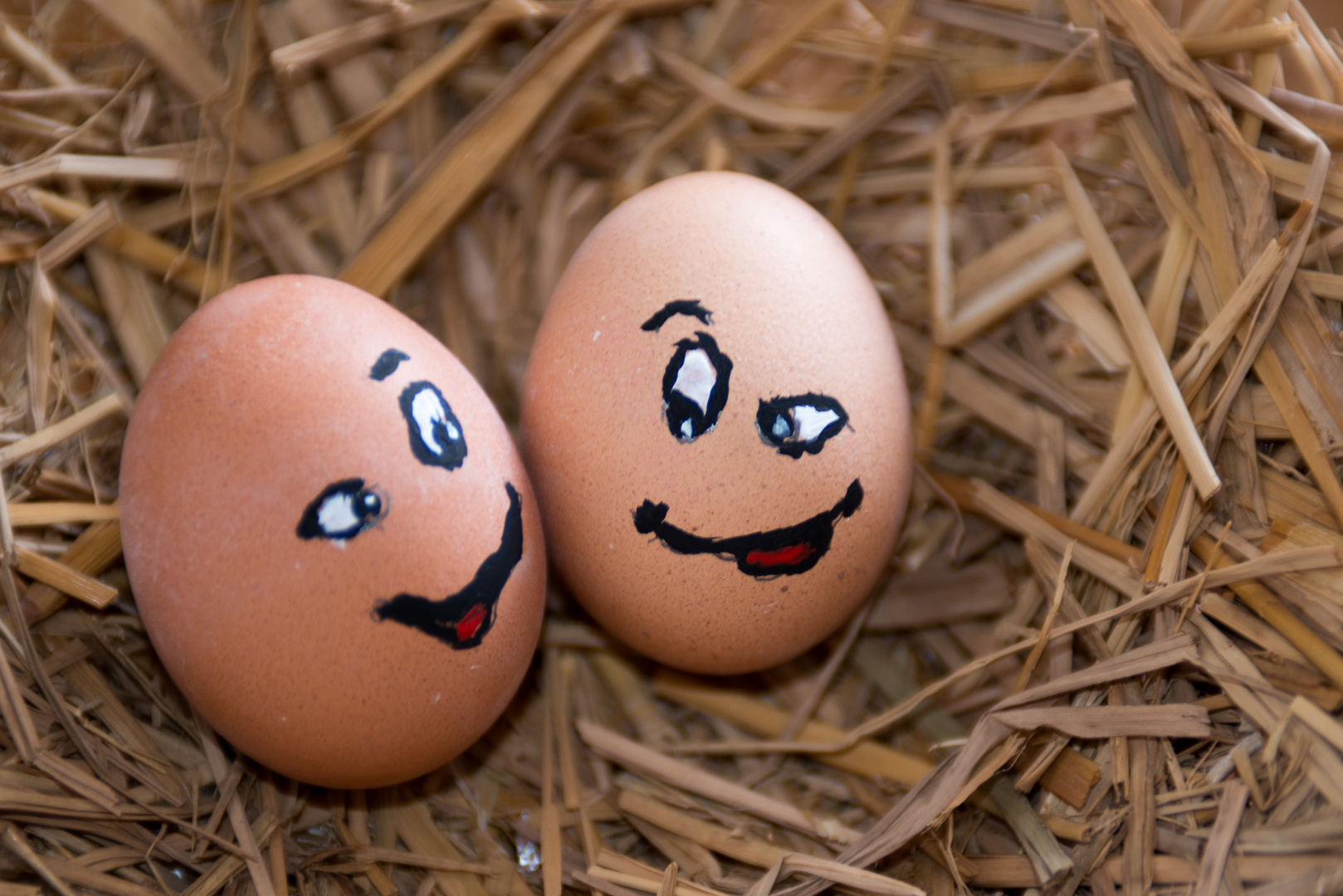 Ei, Ei, Ei ... Foto &amp; Bild | stillleben, arrangierte szenen, art Bilder ...