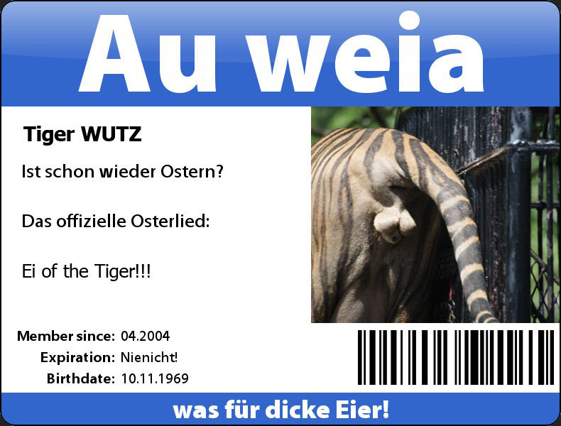 Ei of the tiger!