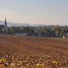 Eibau im Herbstnebel