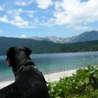 Eibsee-Aussicht