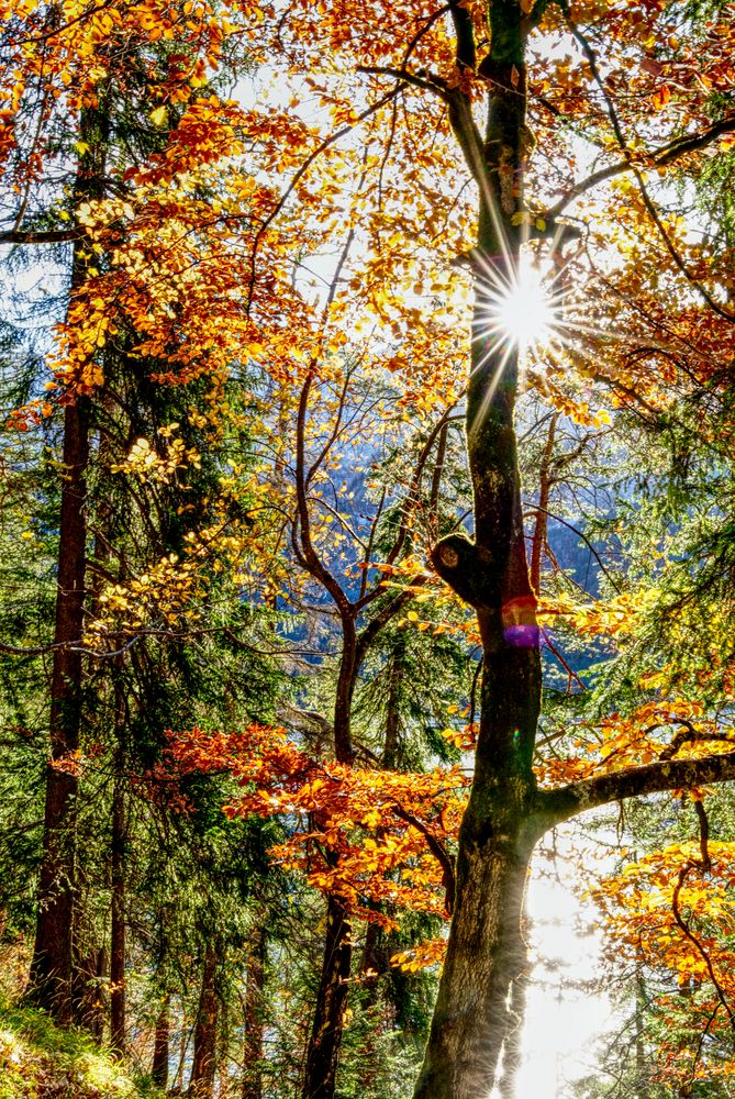 Eibsee - Autumn