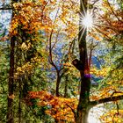 Eibsee - Autumn