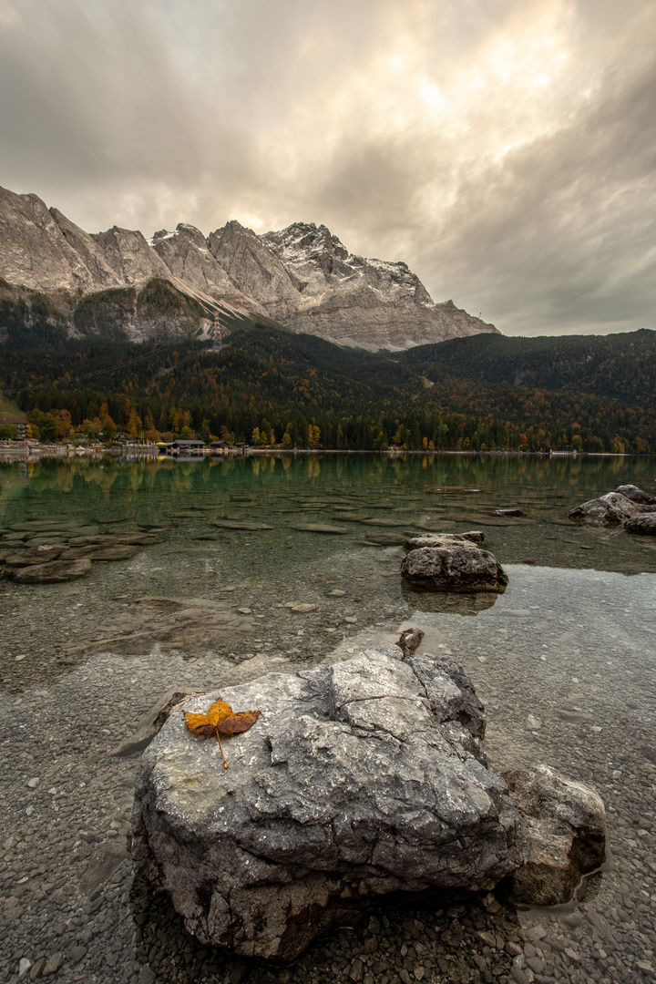 Eibsee Blatt