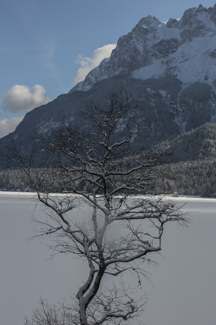 Eibsee