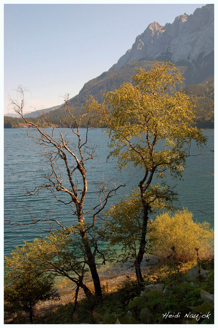 Eibsee im Herbst