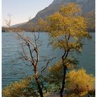 Eibsee im Herbst