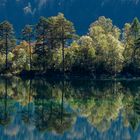 Eibsee Insel