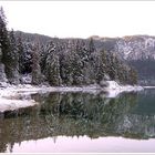 Eibsee-Rauhreif