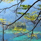 Eibsee - unterhalb der Zugspitze