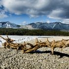 Eibsee Winter