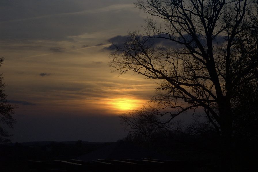 Eiche noch ohne Laub im Sonnenuntergang